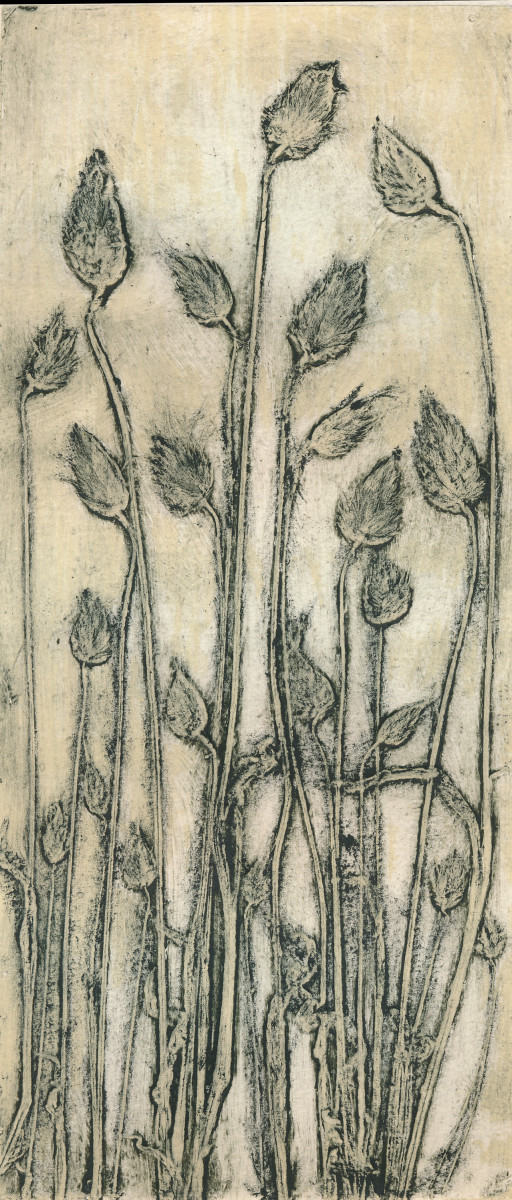 Cotton Tail Grass 2, 1/5 1 by Jacky Lowry 