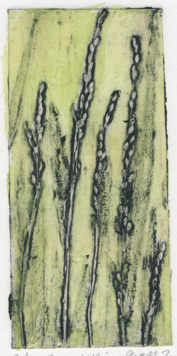 Forest Rice Grass 2, 6/6 by Jacky Lowry 