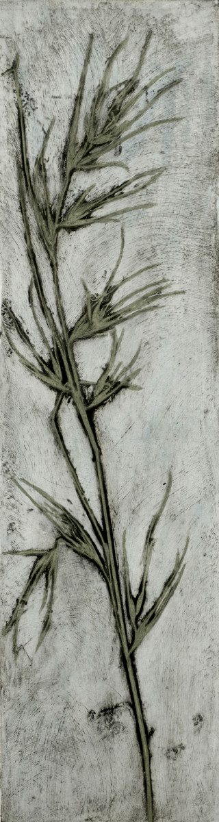 Kangaroo Grass 2 1/5 by Jacky Lowry 