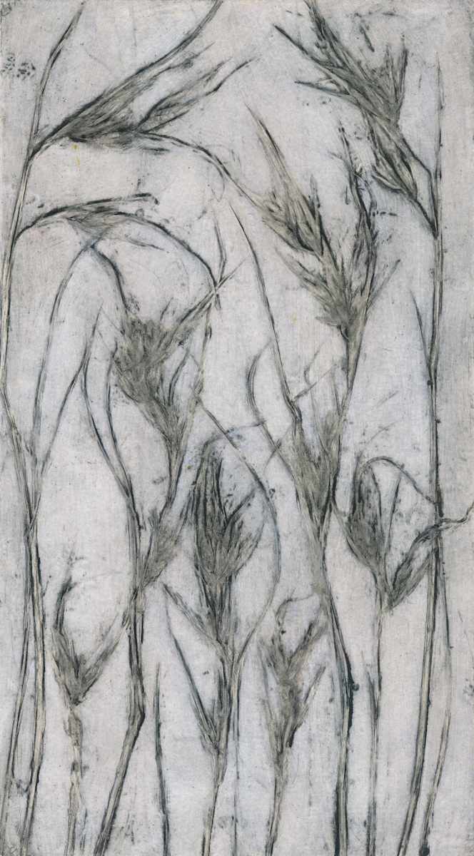 Kangaroo Grass 4 2/5 by Jacky Lowry  Image: Kangaroo Grass 4, EV2/5