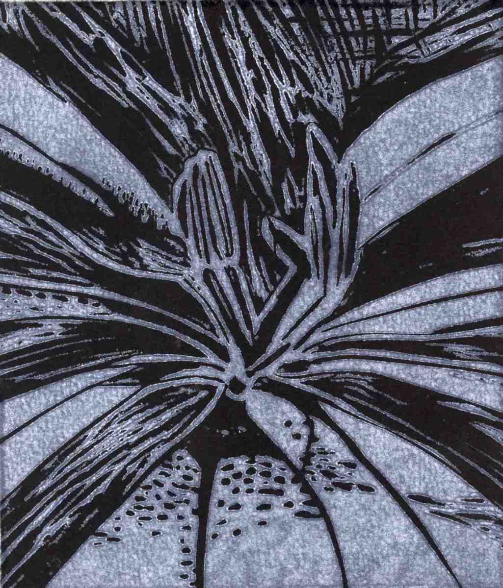 Leaf Bud Detail;  1/10 - 10/10 by Jacky Lowry 