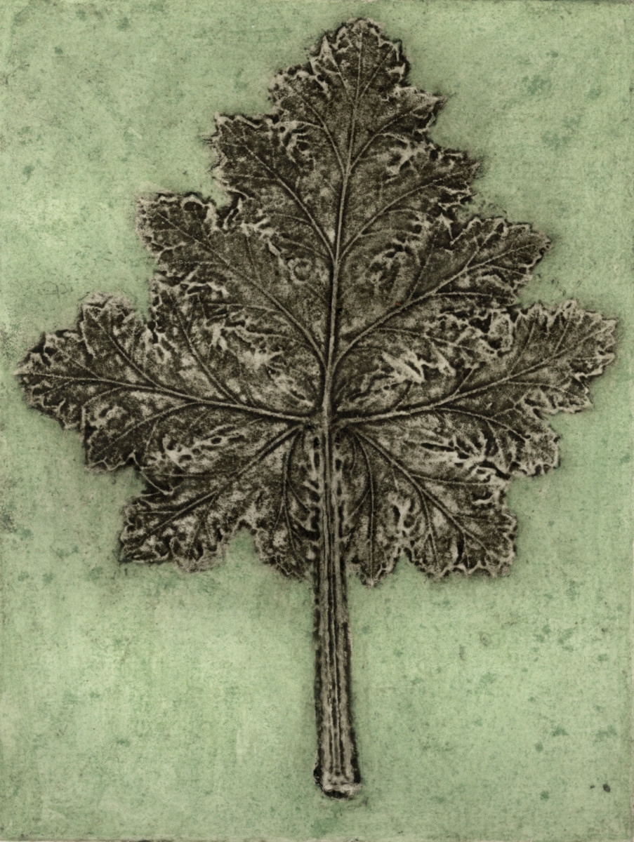 Pelargonium 2, 9/11 by Jacky Lowry 