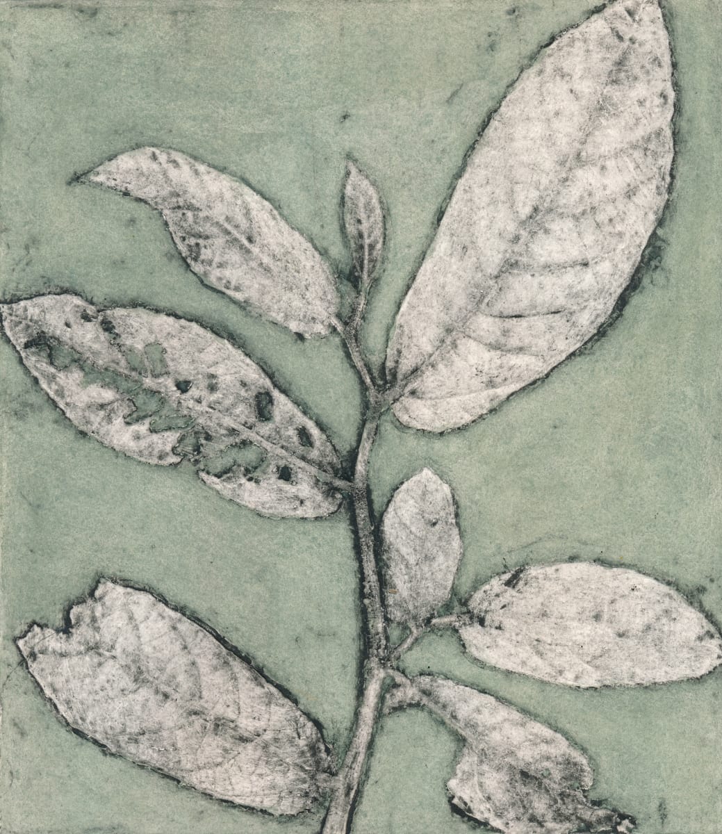 Sandpaper Fig 2 EV3/5 3/5 by Jacky Lowry