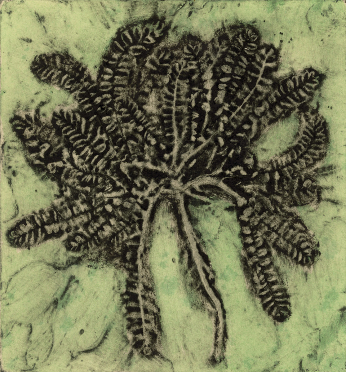 Sedella, 4/12rra by Jacky Lowry 