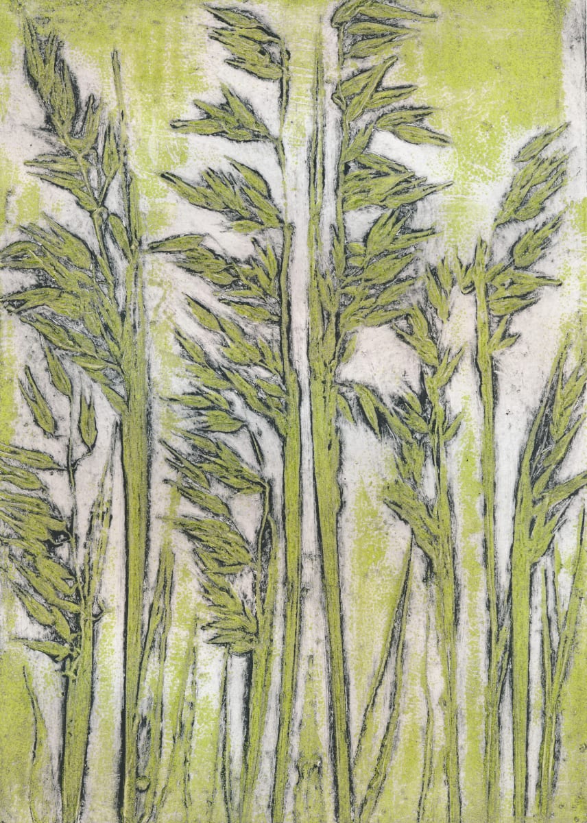 Wild Oats Avena fatua EV4/9 4/9 