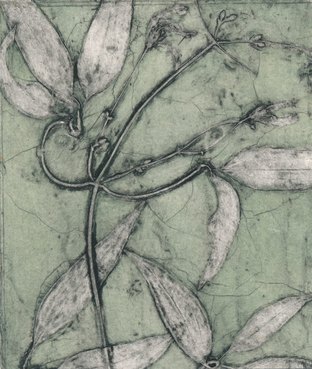 Clematis 3/11 by Jacky Lowry 