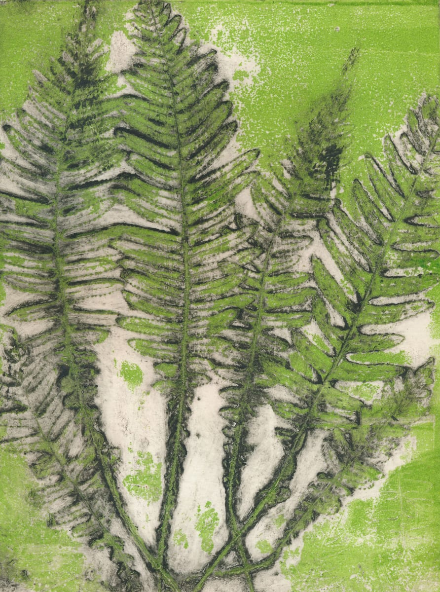 Conondale Fishbone Fern EV3/6 3 by Jacky Lowry