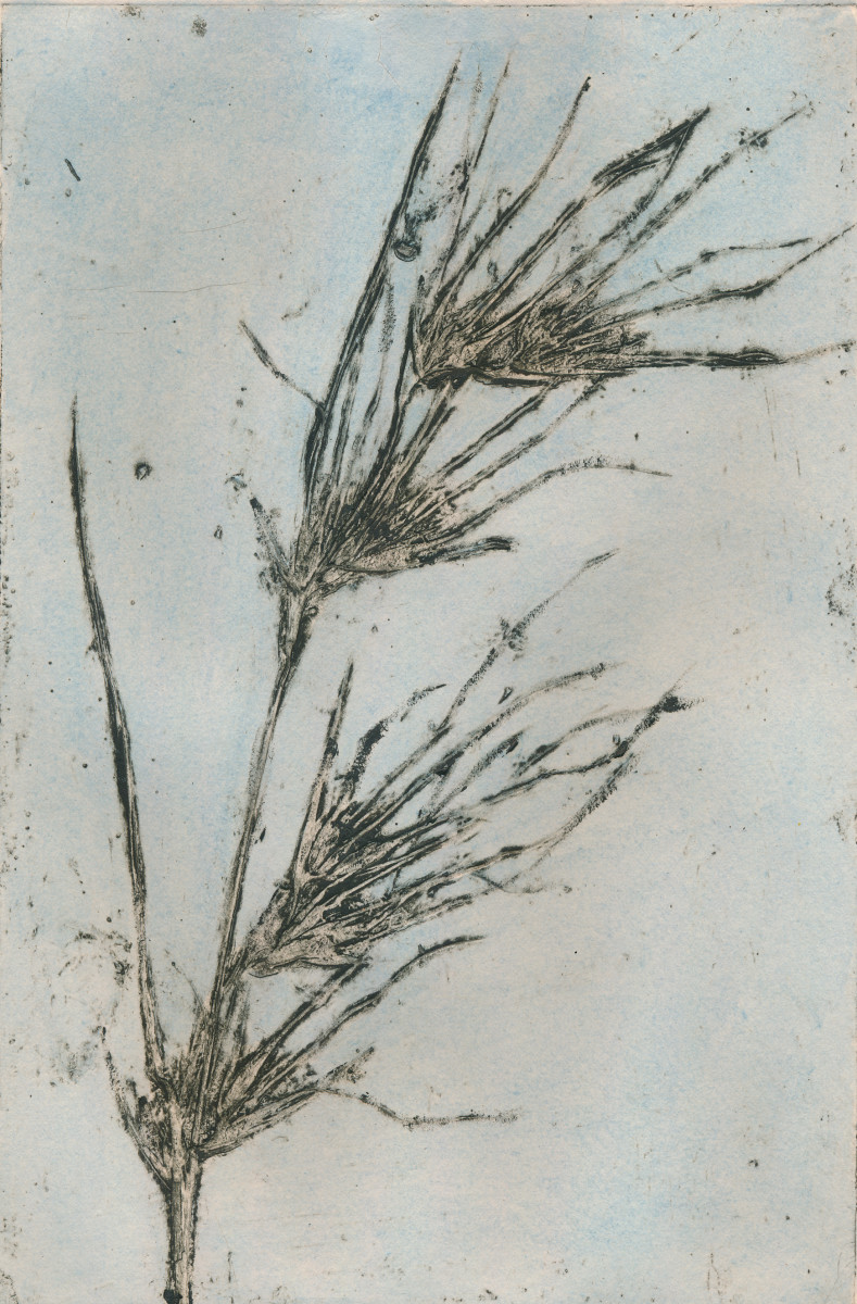 Kangaroo Grass 3 3/8 3/8 by Jacky Lowry 