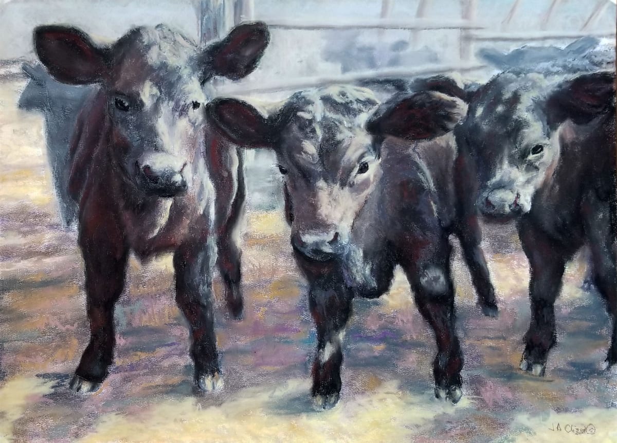 Three Musketeers, The     Colour Study by Jan Clizer 