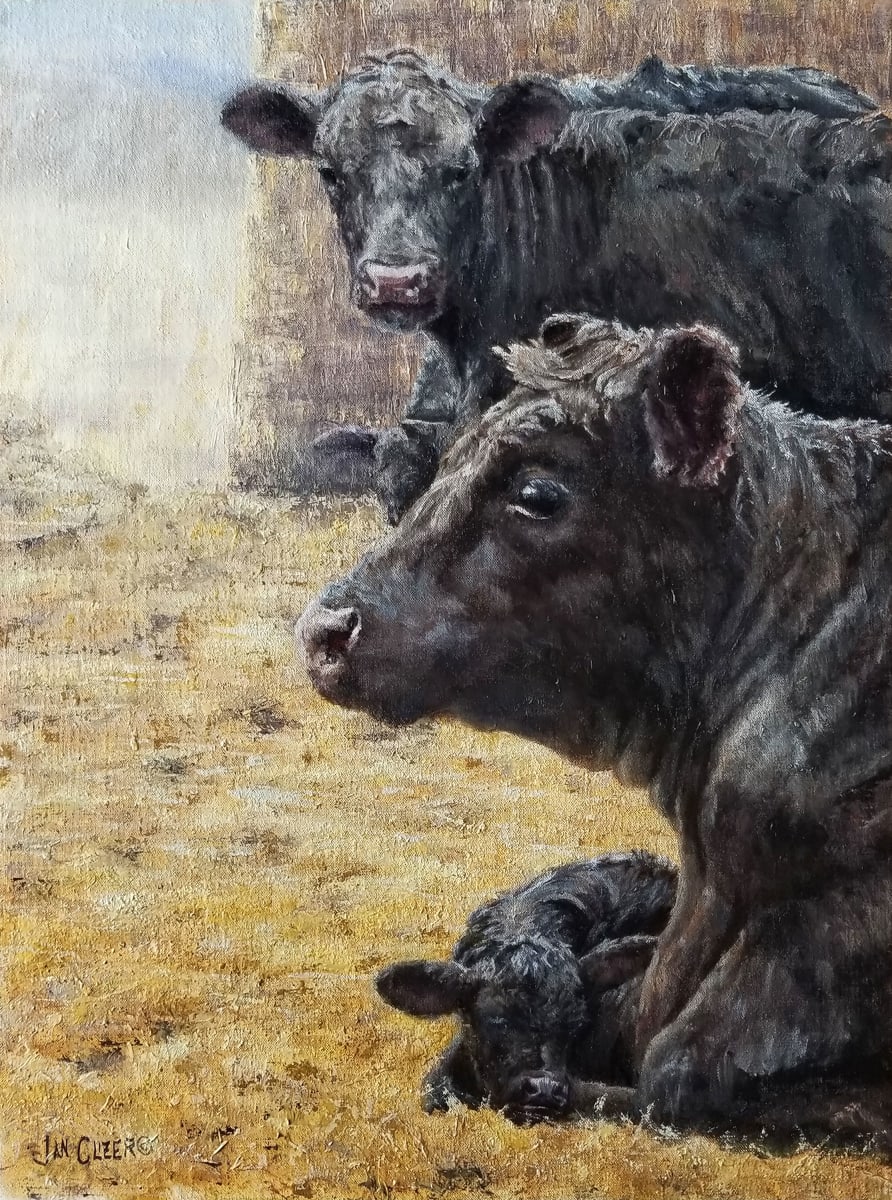Black Angus by Jan Clizer, Image 1.