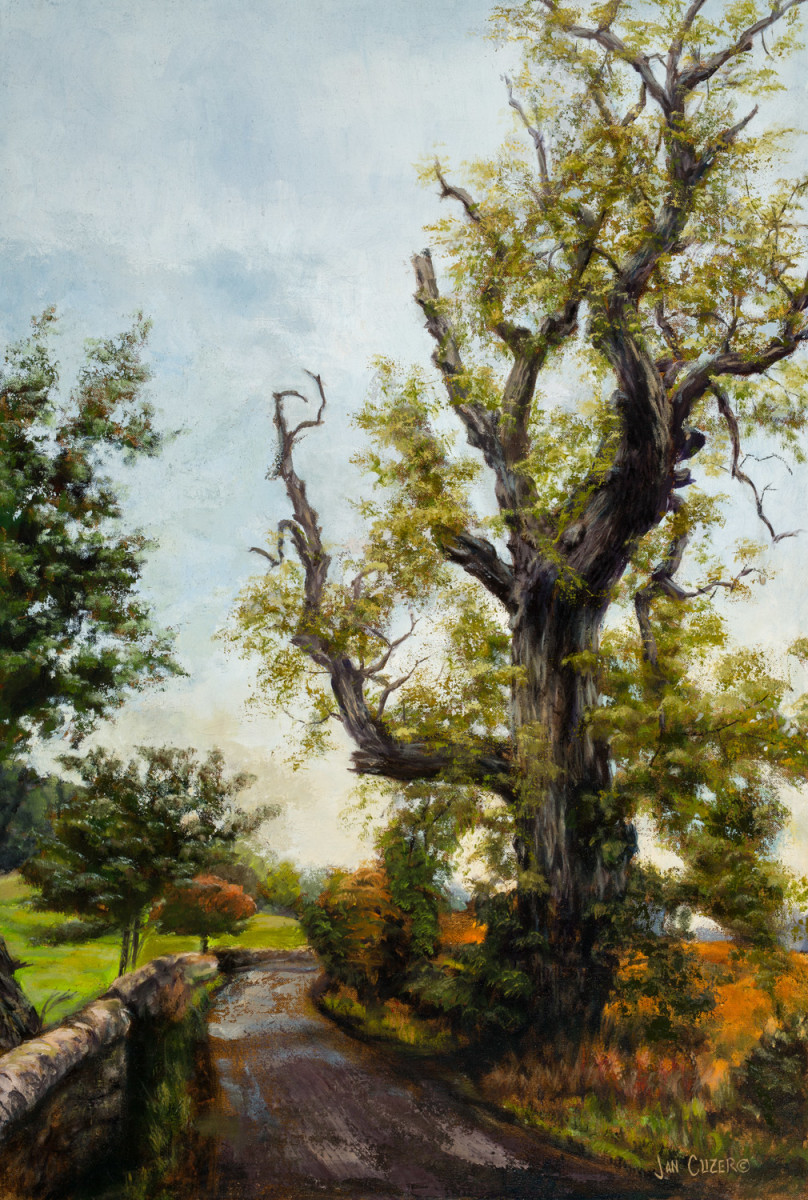 DRYBURGH ANCIENT by Jan Clizer 