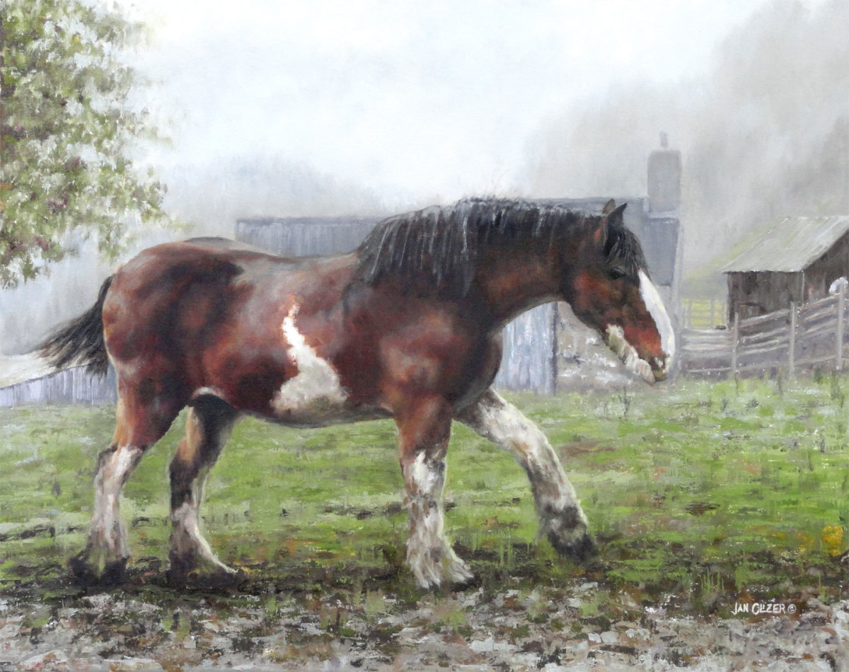 Dowally Clyde by Jan Clizer 