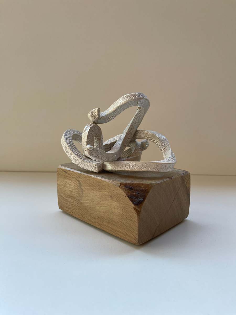 Snake Twist by Brandon Reese 