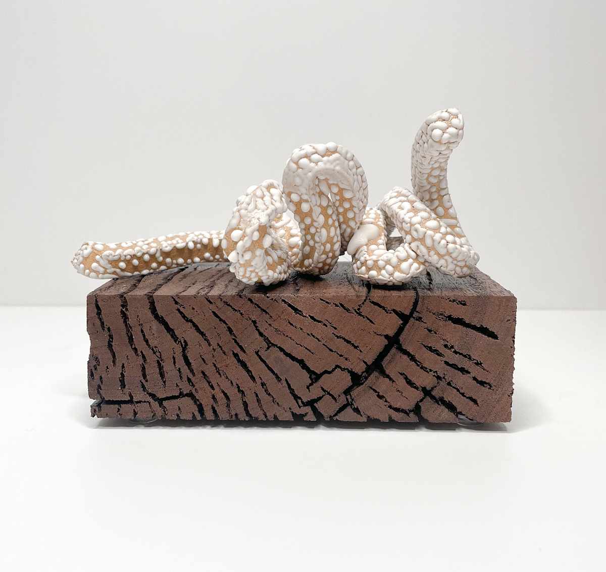 Crackle White Loop by Brandon Reese, Image 1.