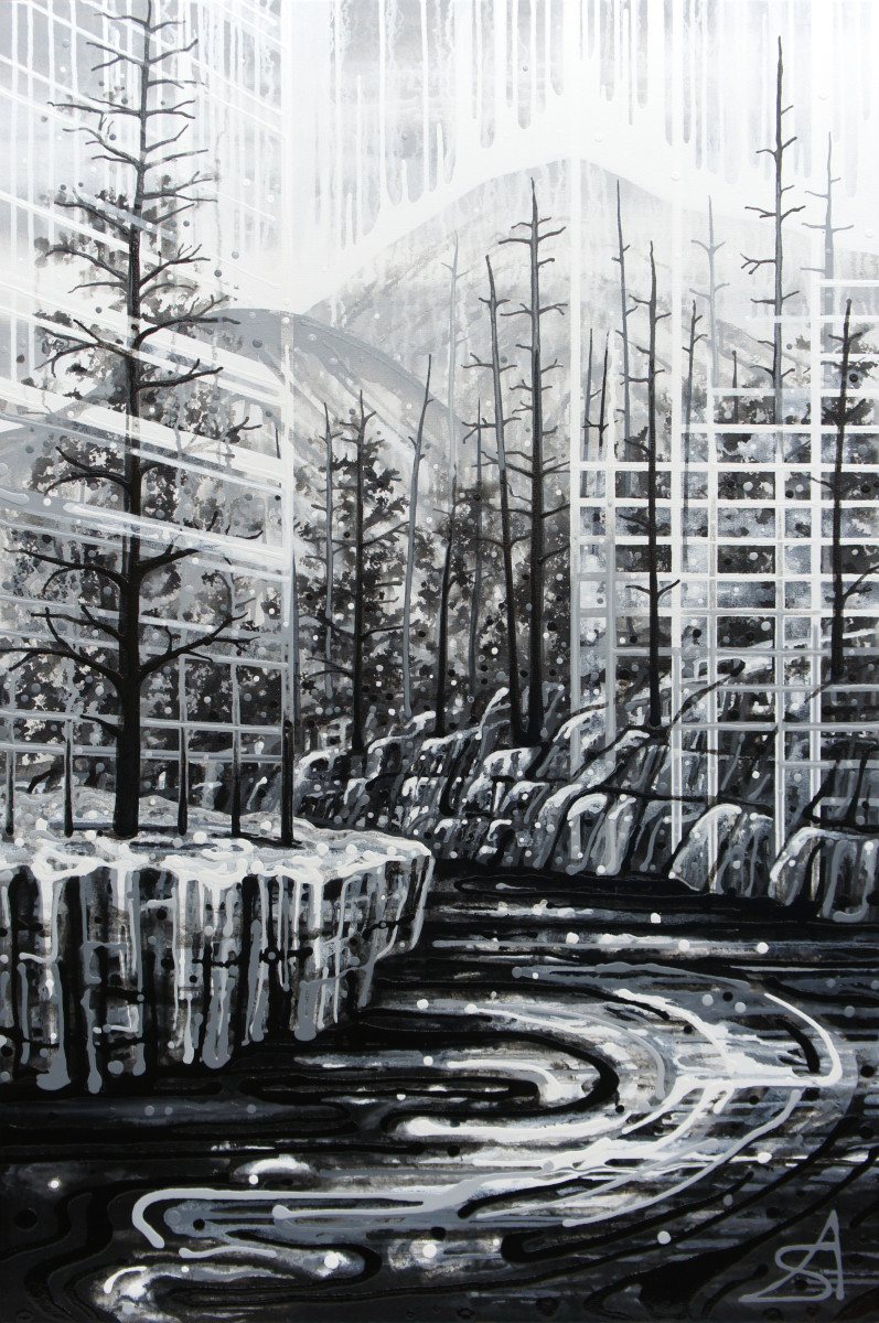 Ash Forest (Toronto + Kootenay National Park) by Amy Shackleton 