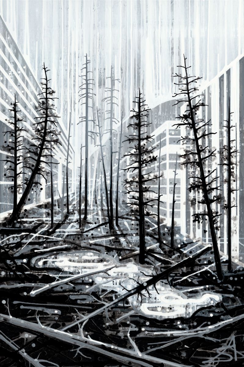 Windfall (Toronto + Banff + Kootenay National Park) by Amy Shackleton, Image 1.