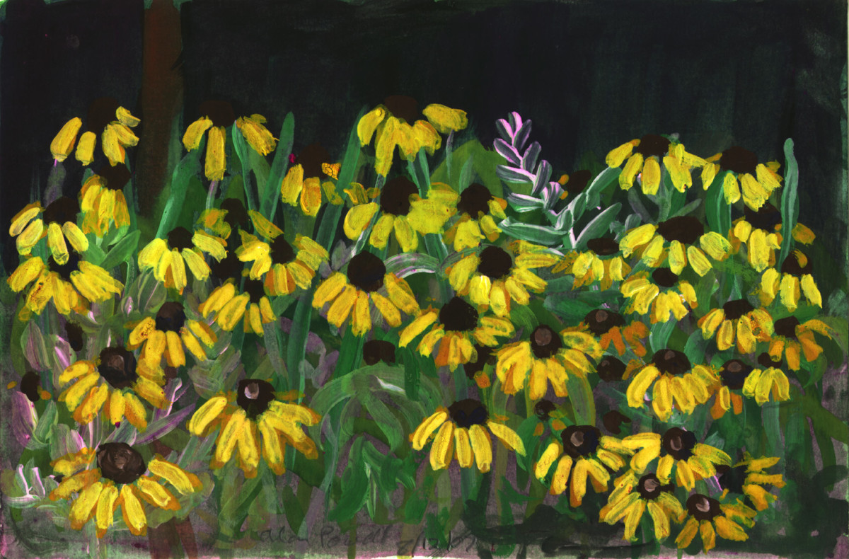 August 12, 2007 Black Eyed Susan by Alan Powell 