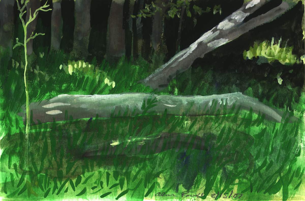 August 15, 2007 Fallen Tree by Alan Powell, Image 1.