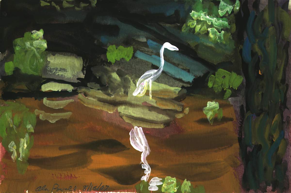 August 16, 2007 In the Woods by Alan Powell, Image 1.
