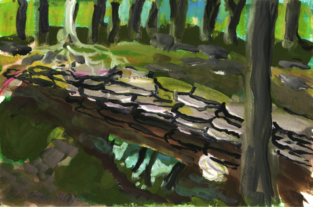 August 17, 2007 Rock Wall by Alan Powell 