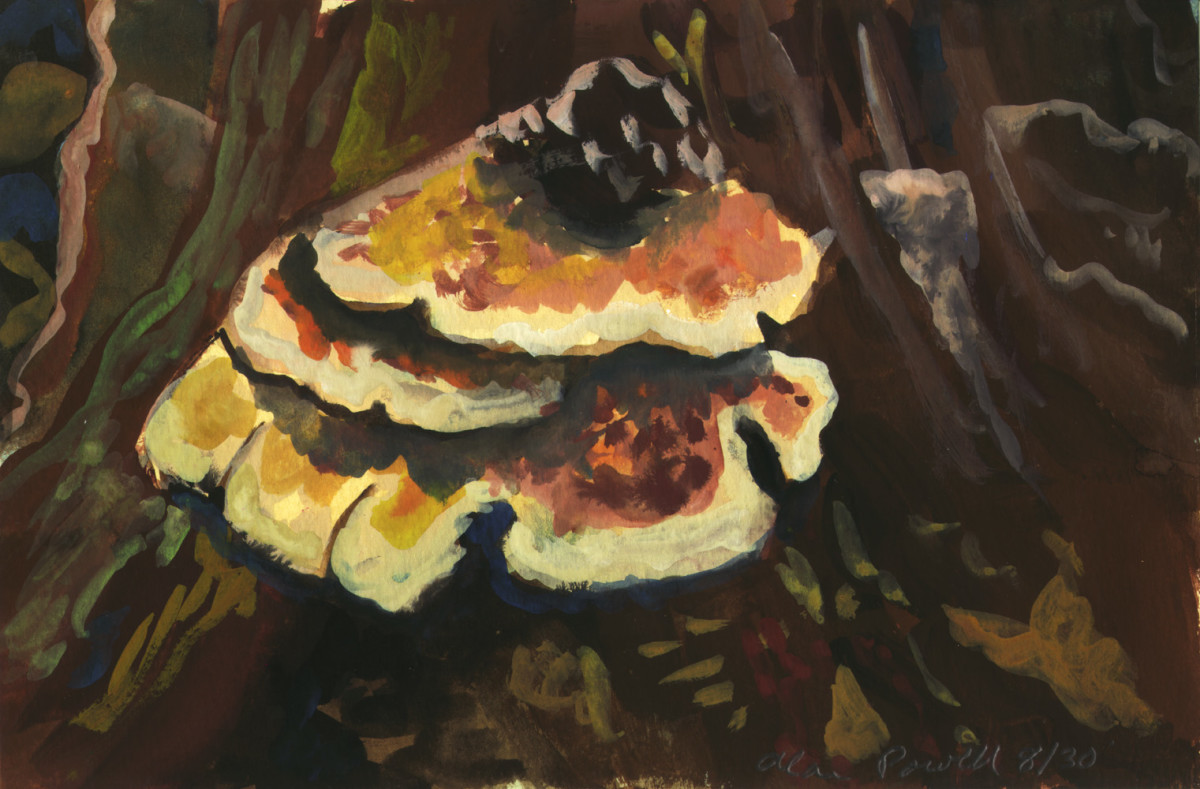 August 30, 2007; Chicken of the Woods Mushroom by Alan Powell 