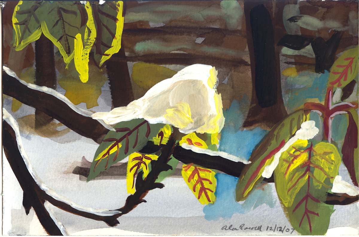 December 12, 2007; Snow Coated Leaves by Alan Powell, Image 1.