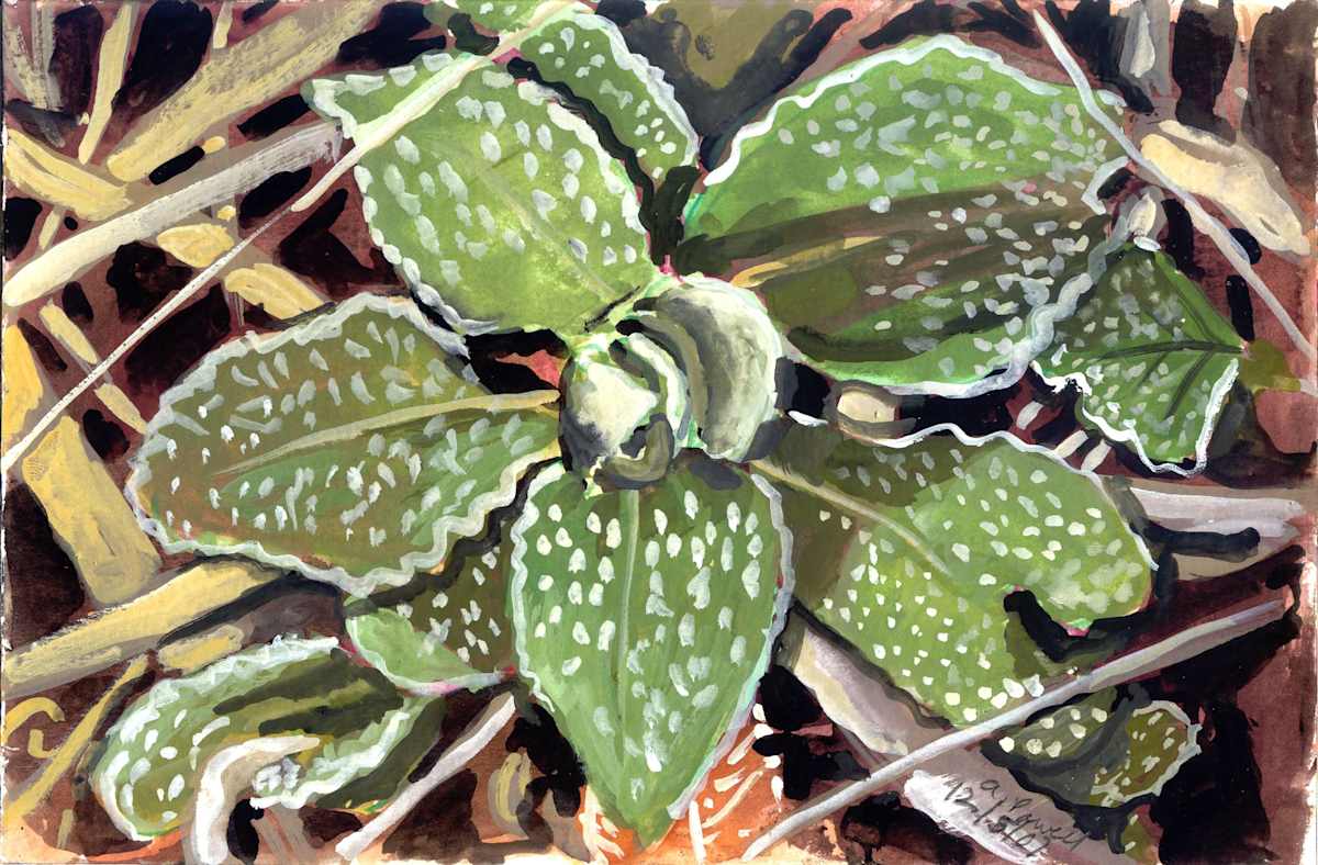December 5, 2007;  Mullin by Alan Powell, Image 1.