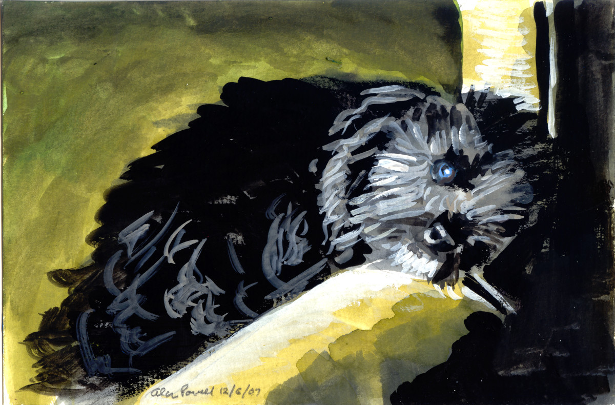 December 6, 2007; BJ by Alan Powell 