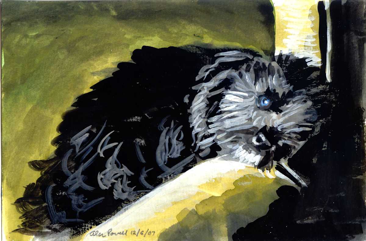 December 6, 2007; BJ by Alan Powell, Image 1.
