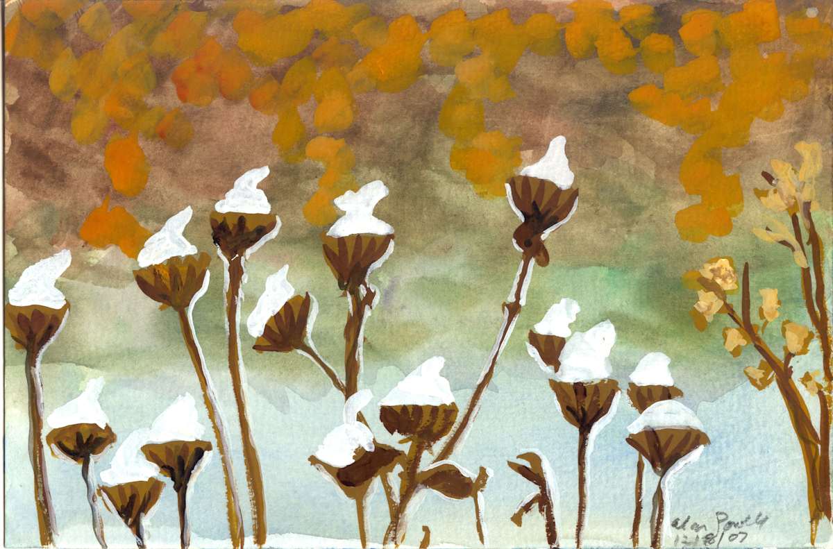 December 8, 2007; Cotton Buds by Alan Powell, Image 1.