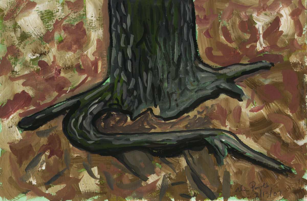 February 13, 2007  Tree Roots by Alan Powell, Image 1.
