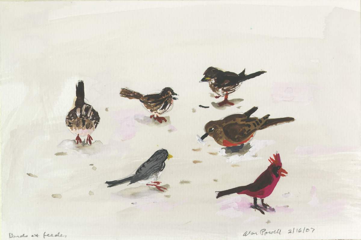 February 16, 2007 Birds by Alan Powell, Image 1.