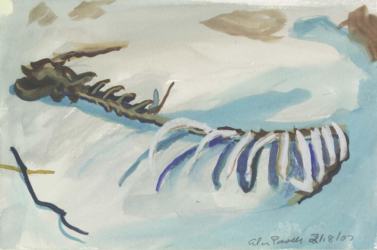 February 18, 2007 Deer Carcass in Snow by Alan Powell, Image 1.