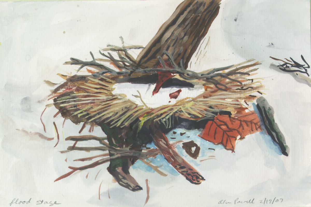 February 19, 2007 Nest in Snow by Alan Powell 