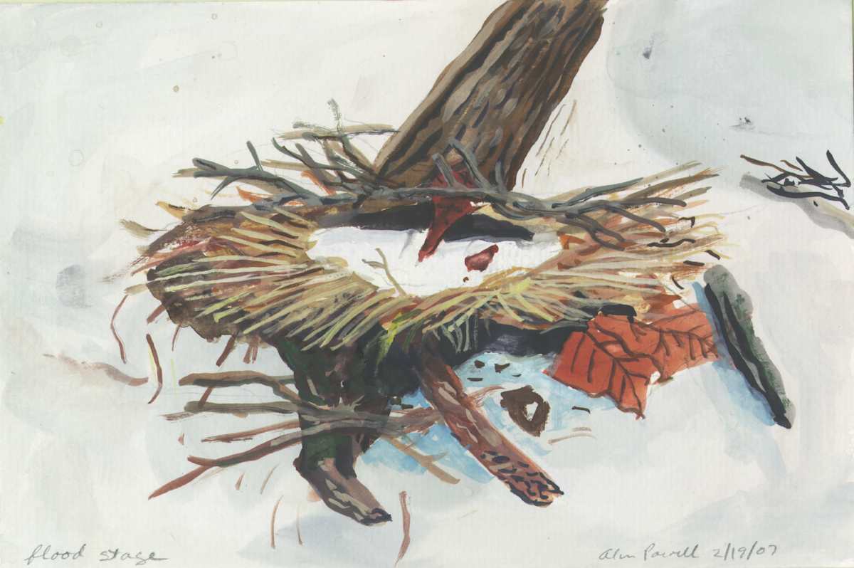 February 19, 2007 Nest in Snow by Alan Powell, Image 1.