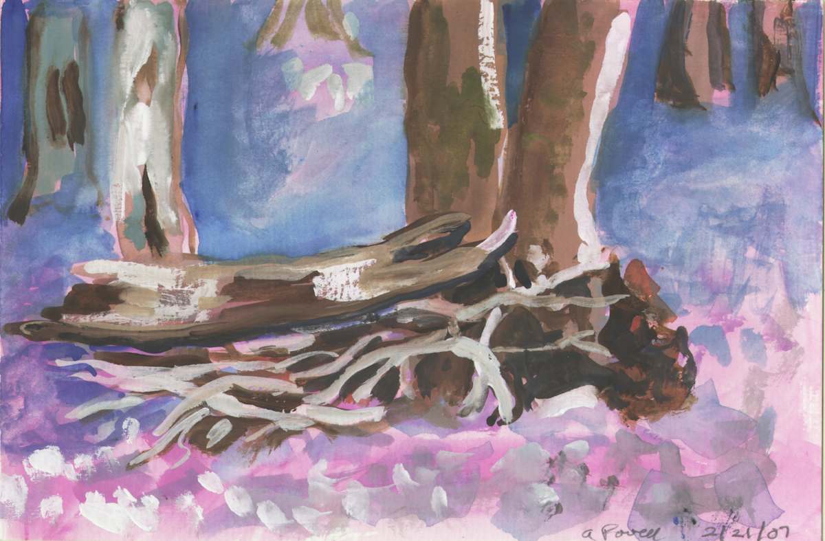 February 21, 2007 - Trees and Snow by Alan Powell, Image 1.