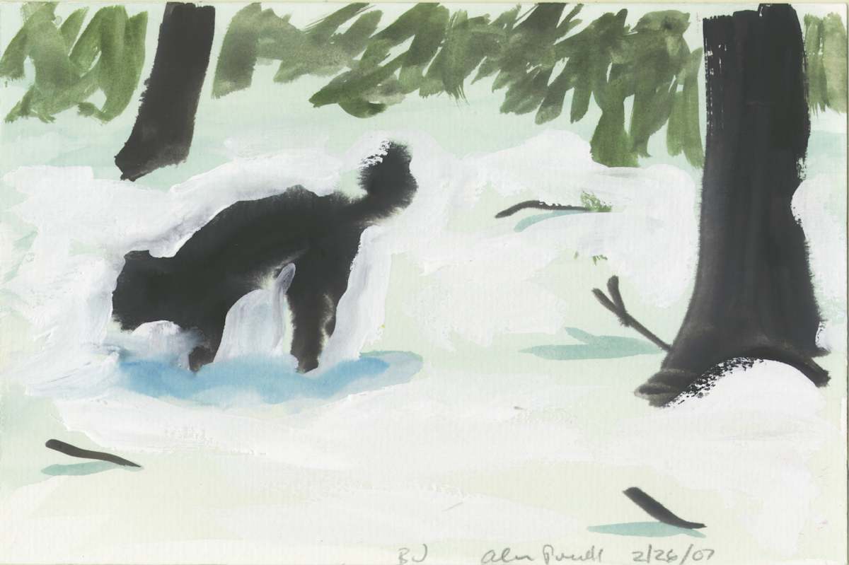 February 26, 2007 - Squirrel in Snow by Alan Powell, Image 1.