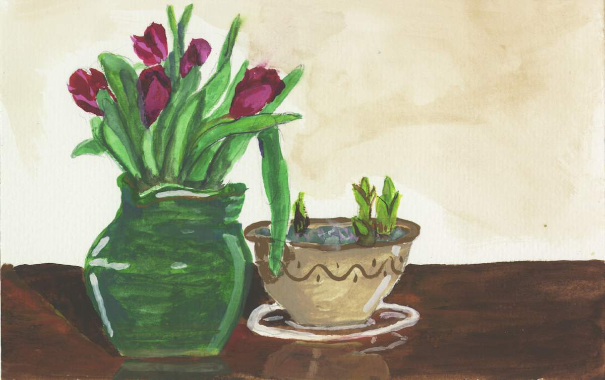 February 3, 2007  Plants on Kitchen table by Alan Powell, Image 1.