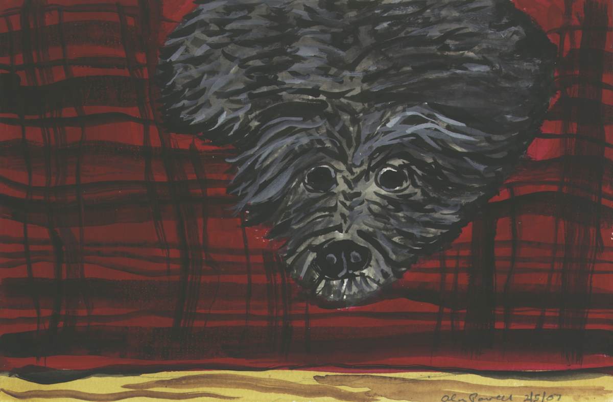 February 5, 2007, BJ sleeping on Blanket by Alan Powell, Image 1.