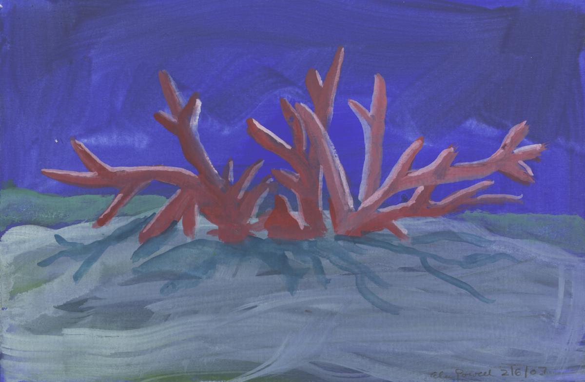 February 6, 2007  Bush in Winter Moon Light by Alan Powell, Image 1.