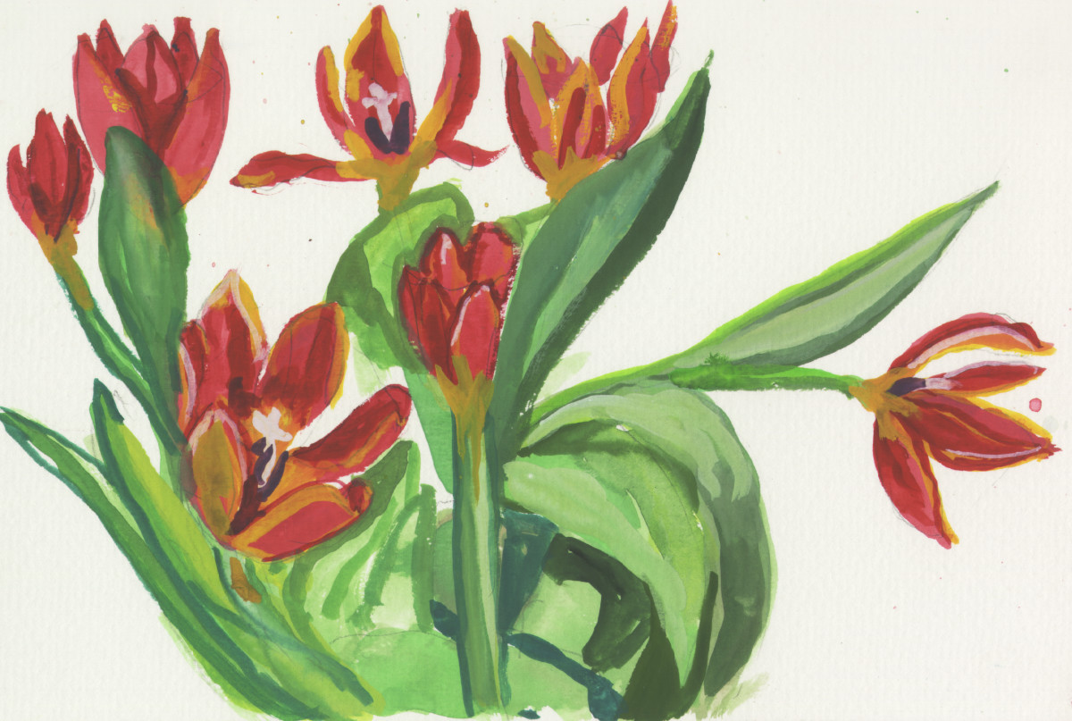 February 8, 2007 Flowers  by Alan Powell, Image 1.