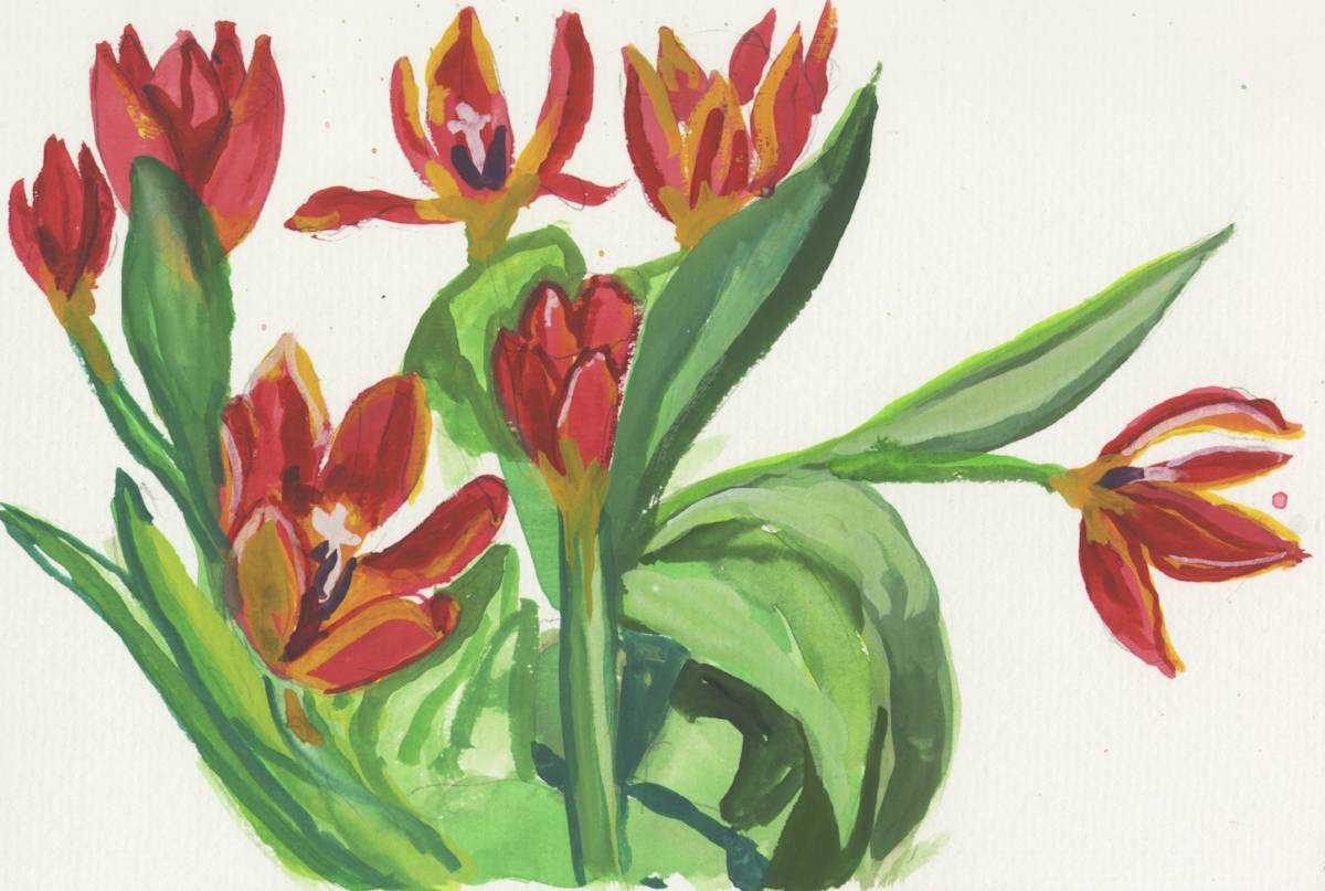 February 8, 2007 Flowers  by Alan Powell, Image 1.