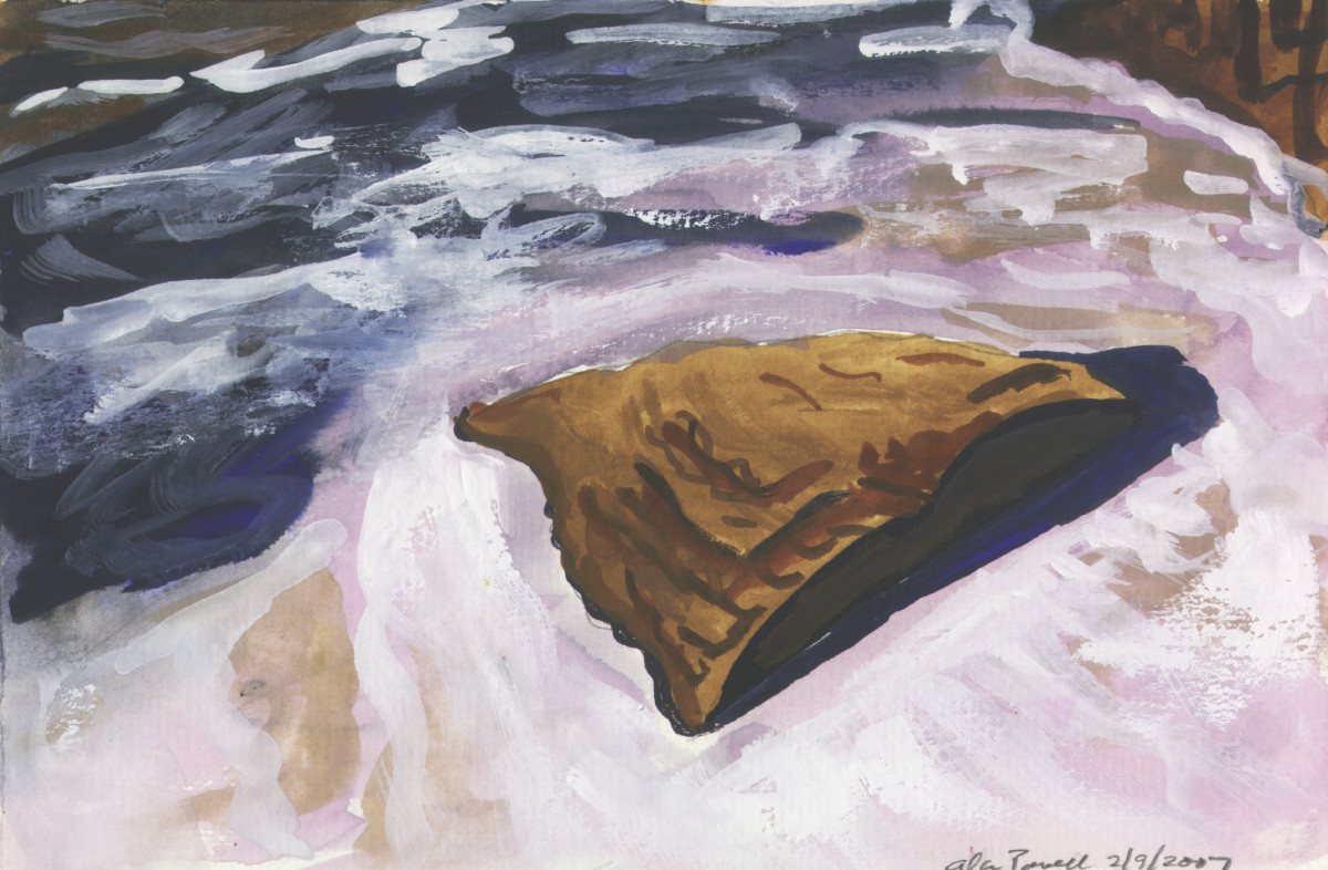 February 9, 2007 Rock in Tohickon Creek by Alan Powell 