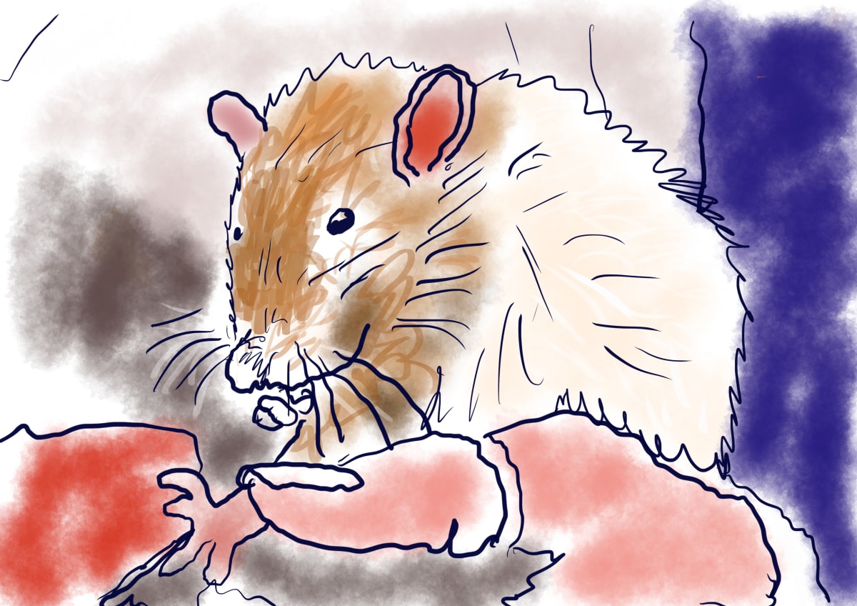 Rat Friend  Image: Rat friend