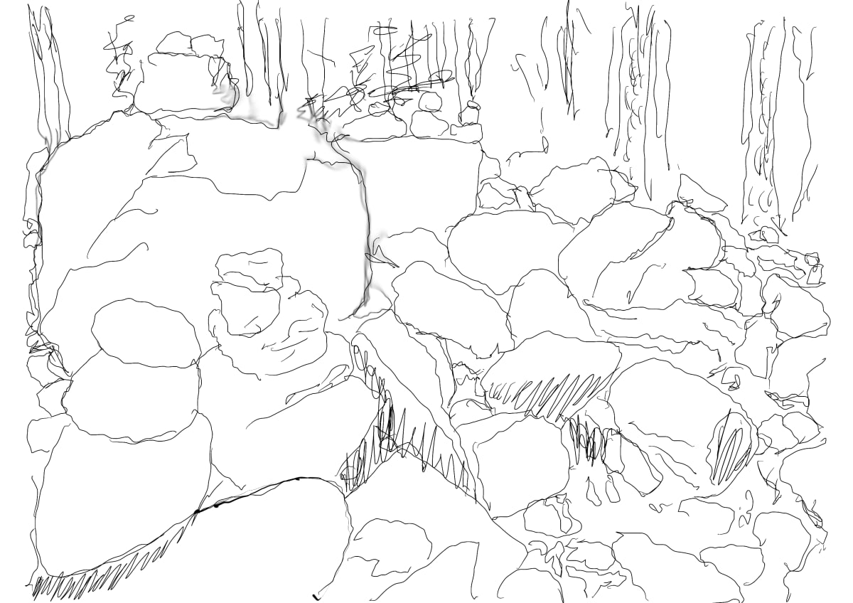 Black & White Woodland, Image 1.