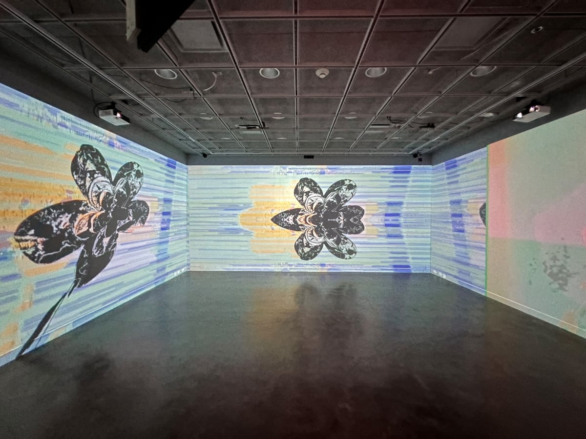 black flower installation by Alan Powell  Image: black flower installation : Alfred University Fall 2021, still frame, immersive environment