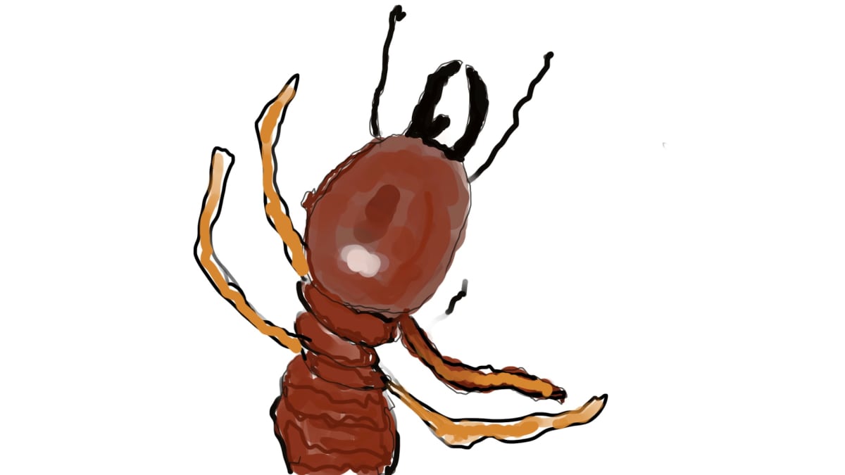 Termite sketch by Alan Powell 