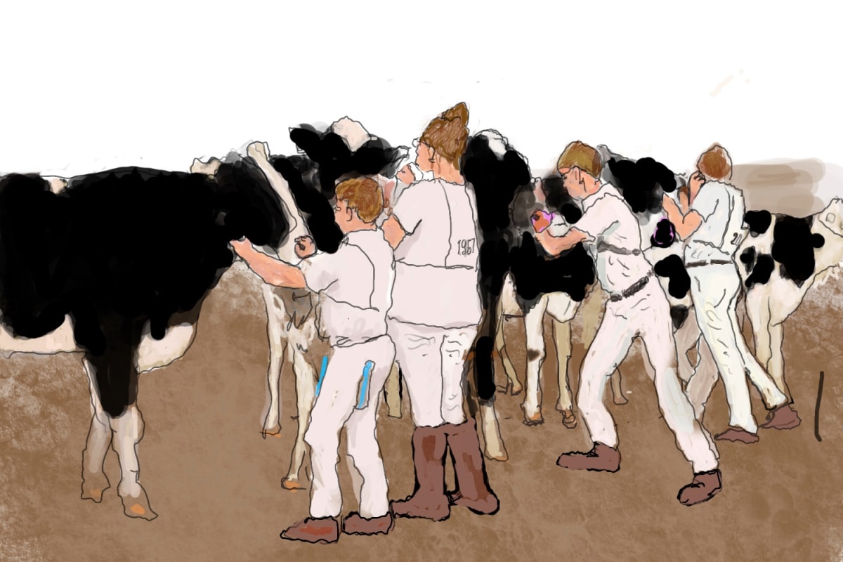 Herding Cattle by Alan Powell 