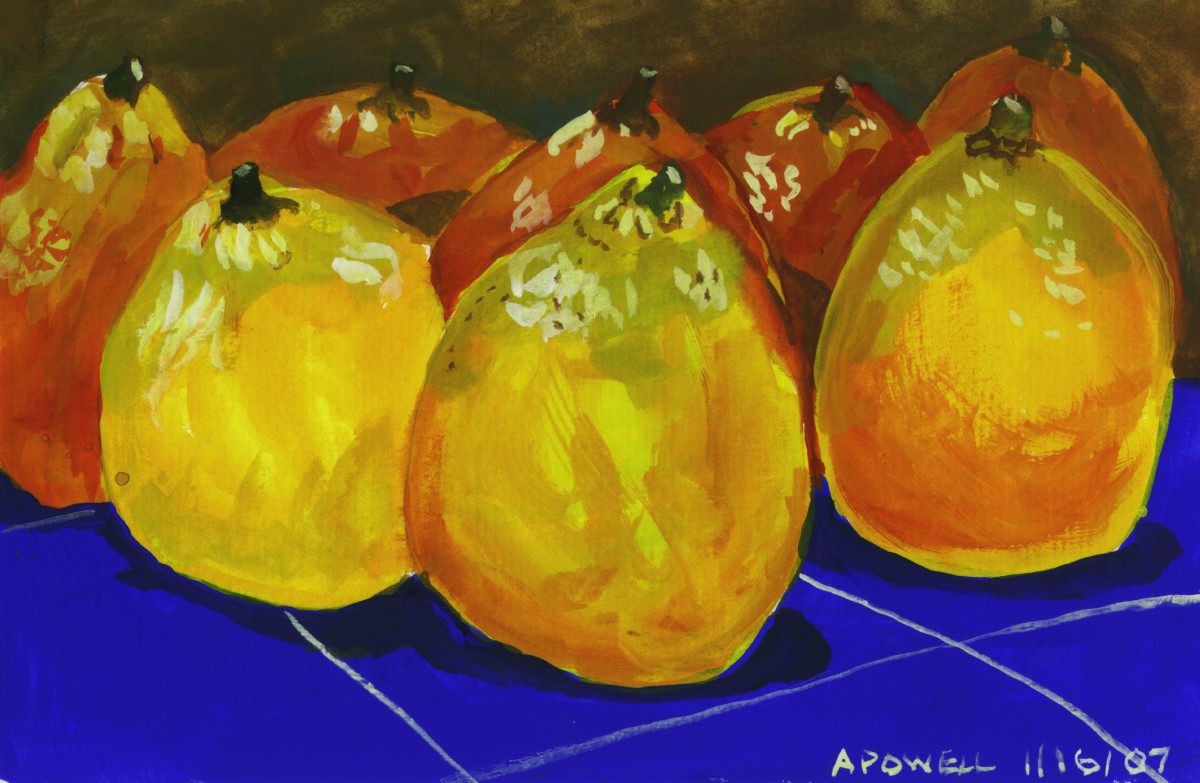 January 16, 2007  Oranges from Florida by Alan Powell 
