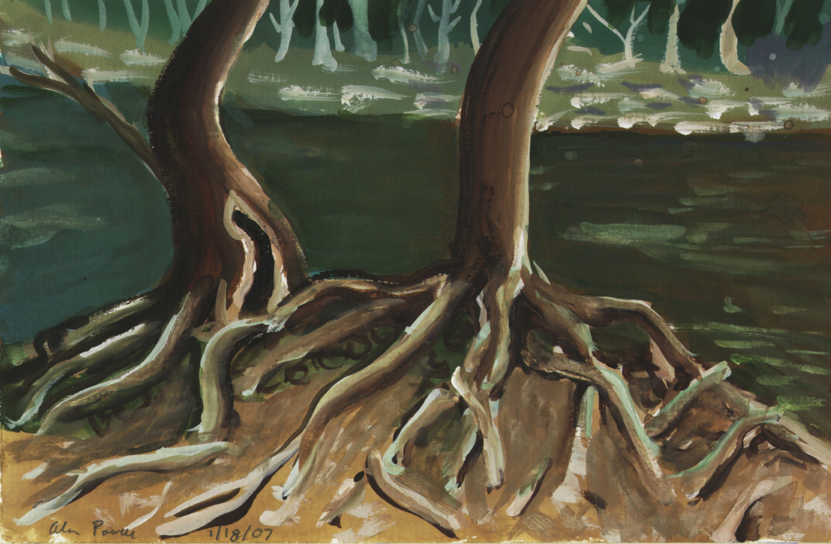 January 18, 2007  Tohickon Creek Tree Roots by Alan Powell 